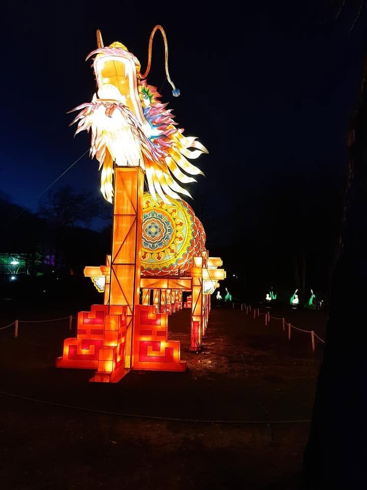 Foto uit Lichtfestival 2020