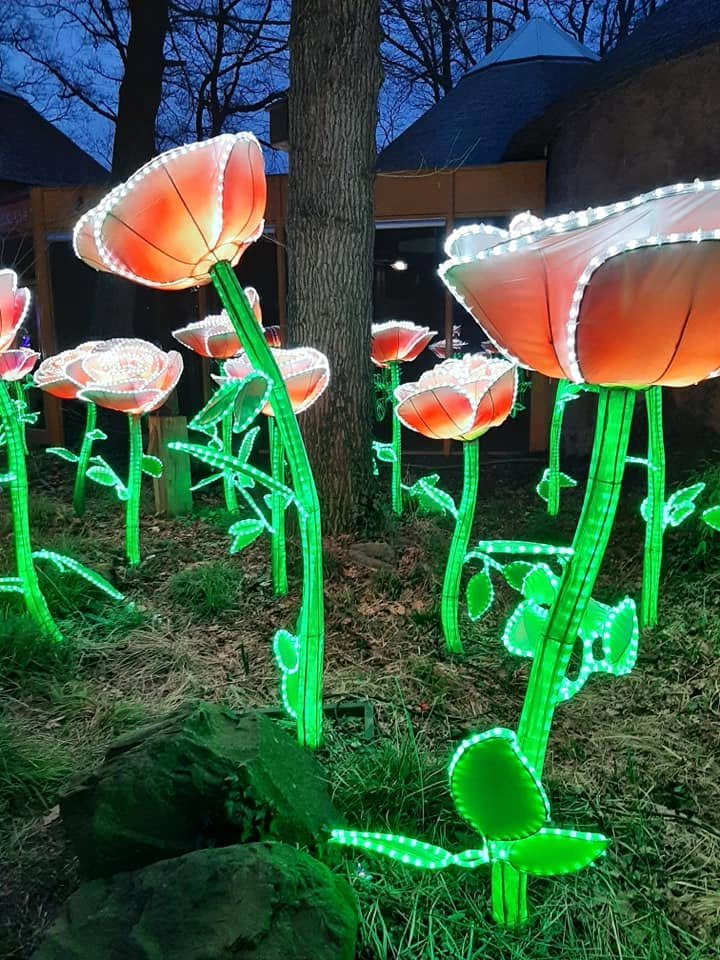 Foto uit Lichtfestival 2022