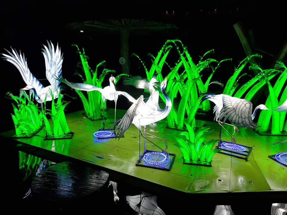 Foto uit Lichtfestival 2020