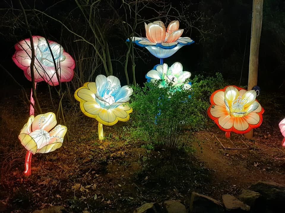Foto uit Lichtfestival 2022
