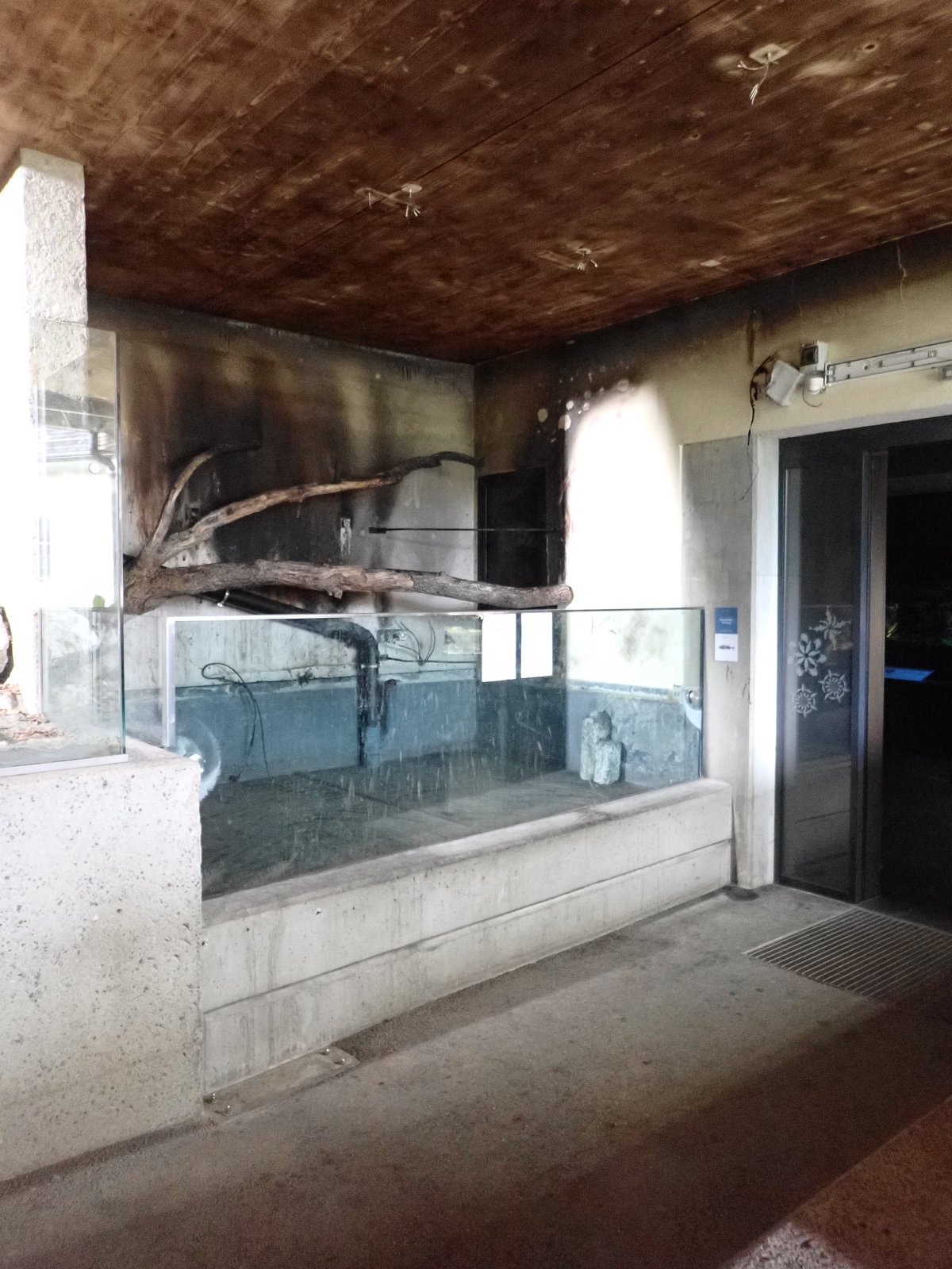 Het door de brand getroffen gedeelte in het aquariumgebouw.