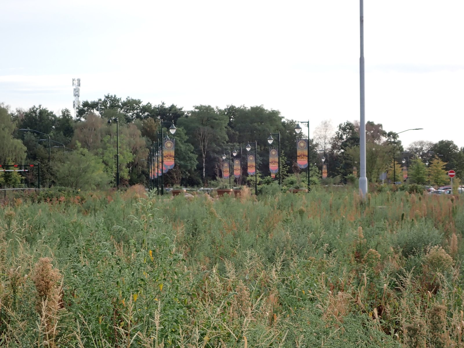 De Twinkelboulevard gefogografeerd vanaf het 'hoofdpad' naar de entree toe.