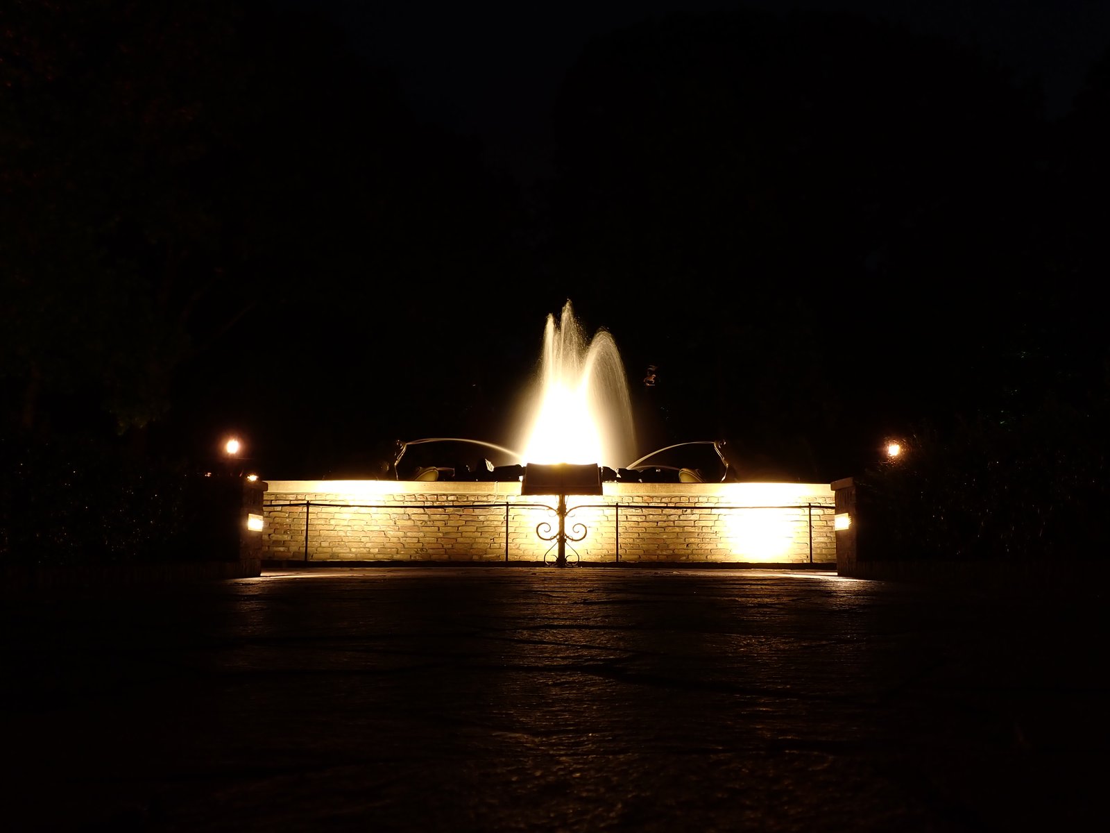 De fontein van de Kikkerkoning.