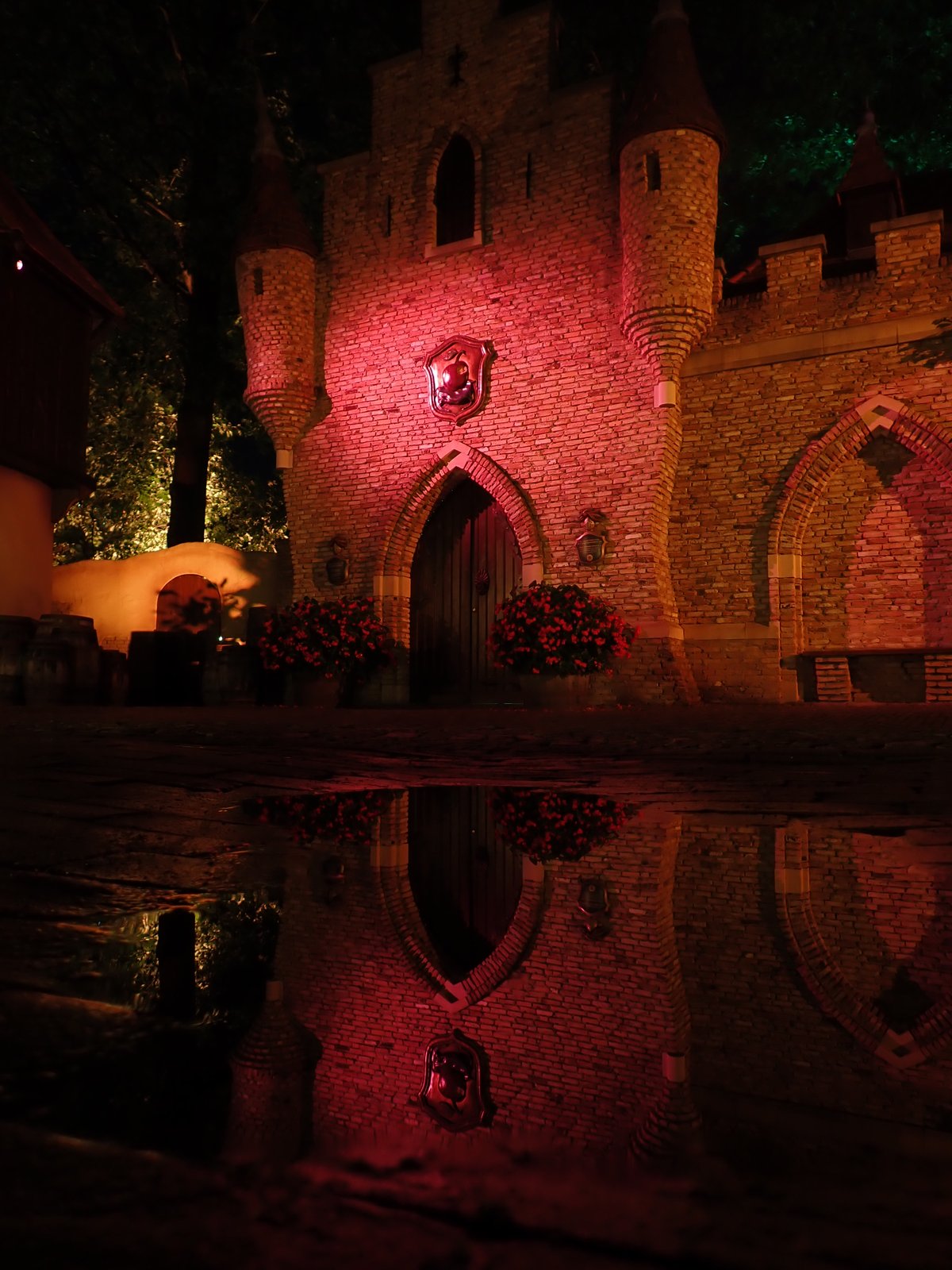 Weer een prima geplaatste plas water voor het kasteel van de boze stiefmoeder.