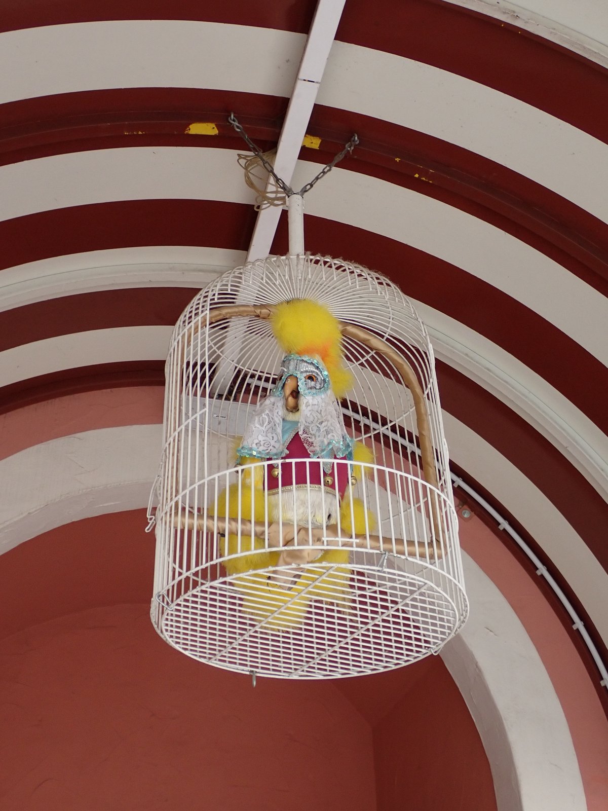Deze vogel hangt onder de luifel in de ingang van de show.