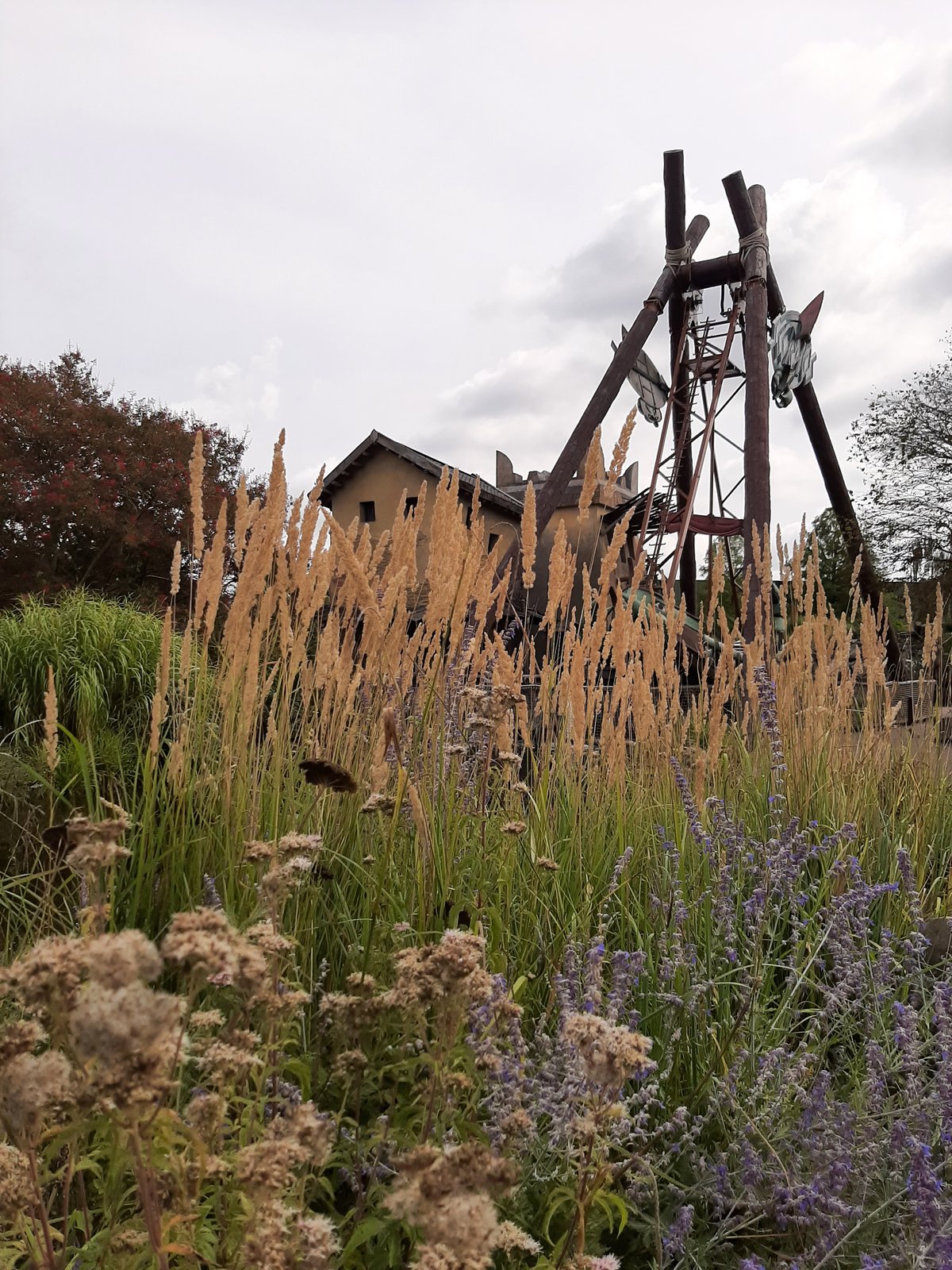 Toverland heeft best veel aandacht voor groen wat voor een betere sfeer zorgt.
