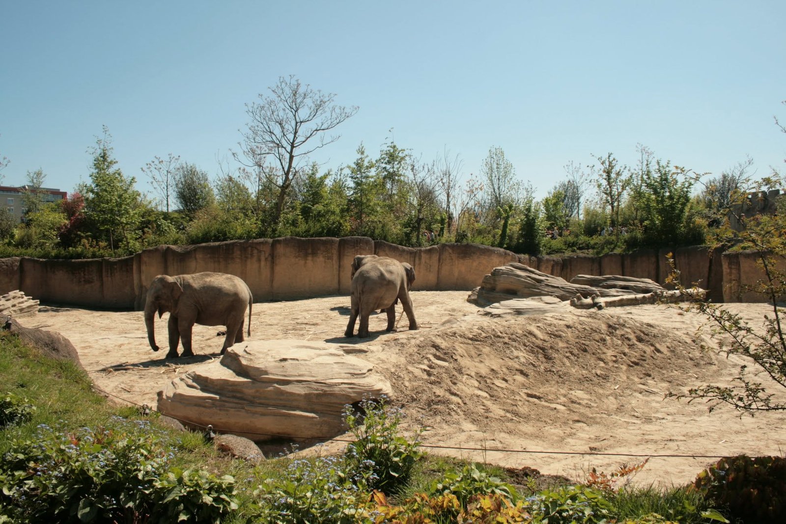Foto uit Eerste keer Wildlands