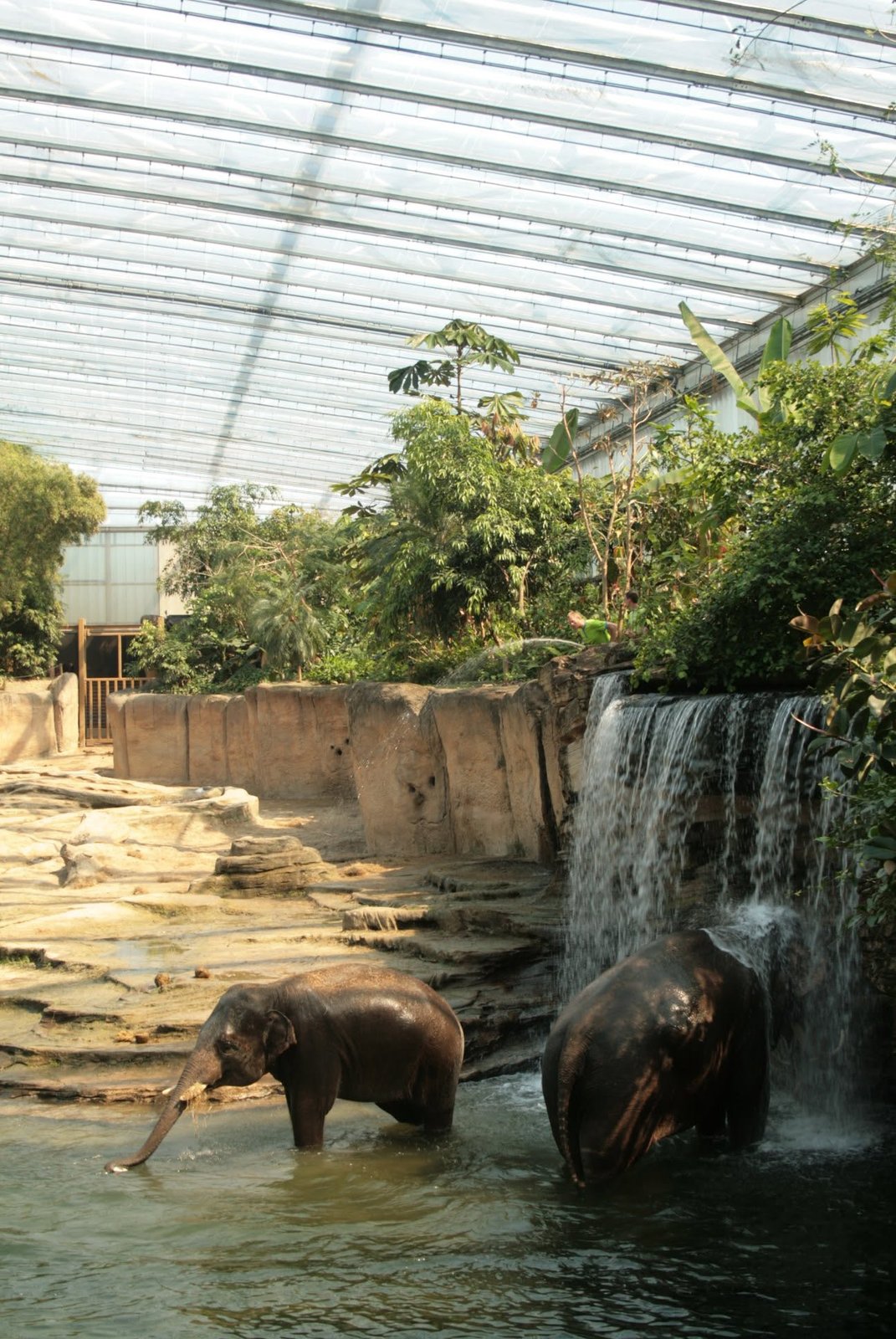 Foto uit Eerste keer Wildlands