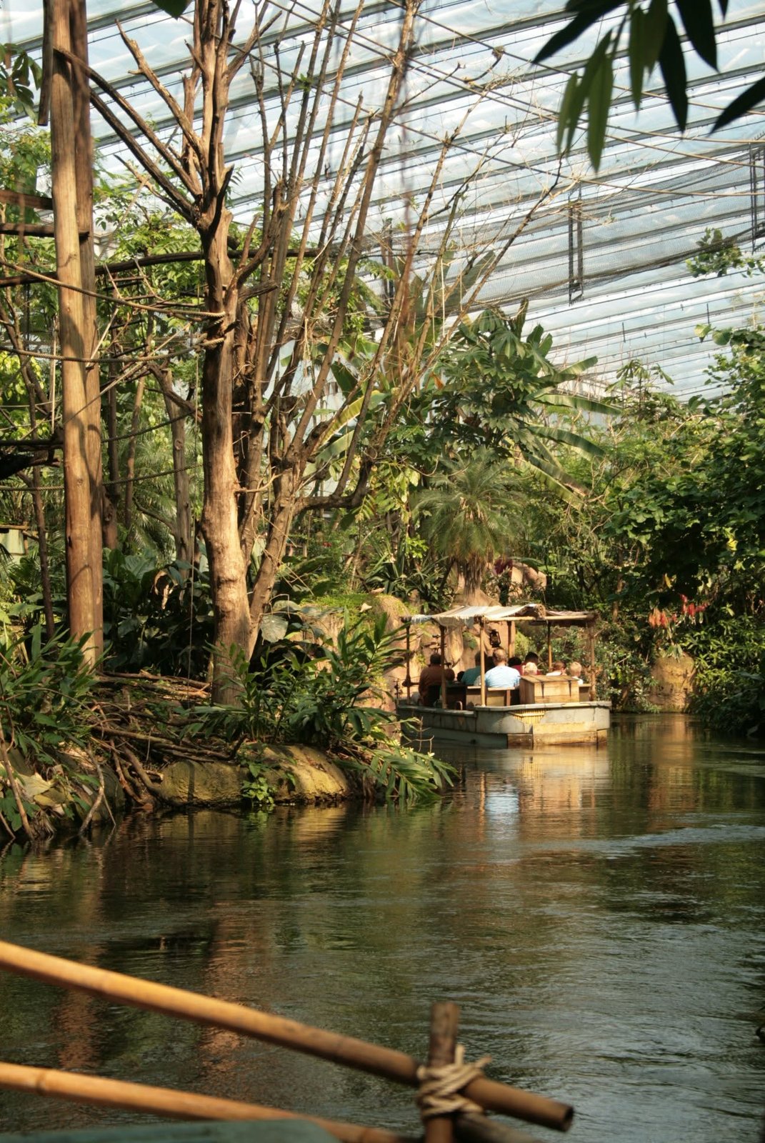 Attractie Rimbula River