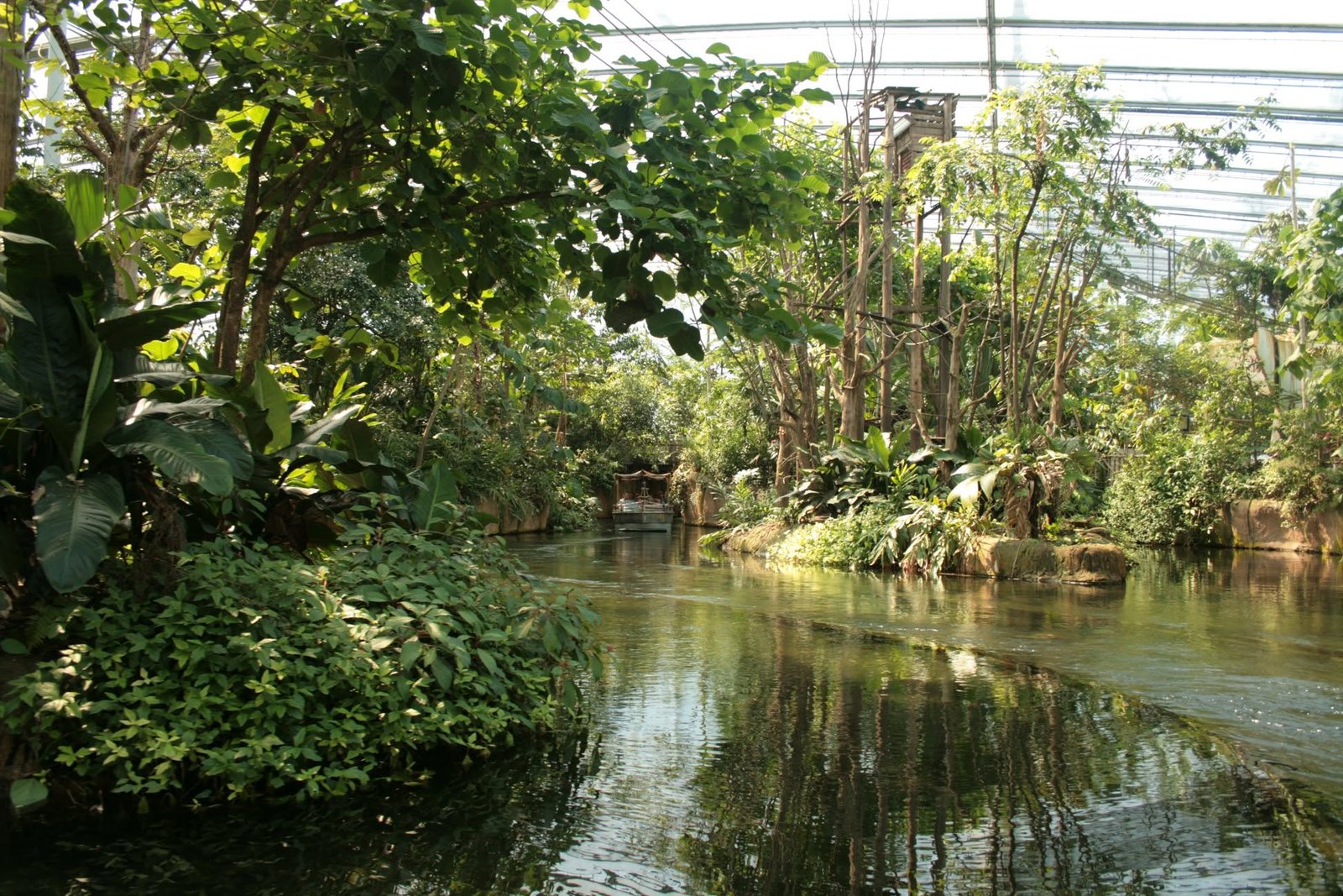 Zicht vanuit een van de boten van de attractie Rimbula River.