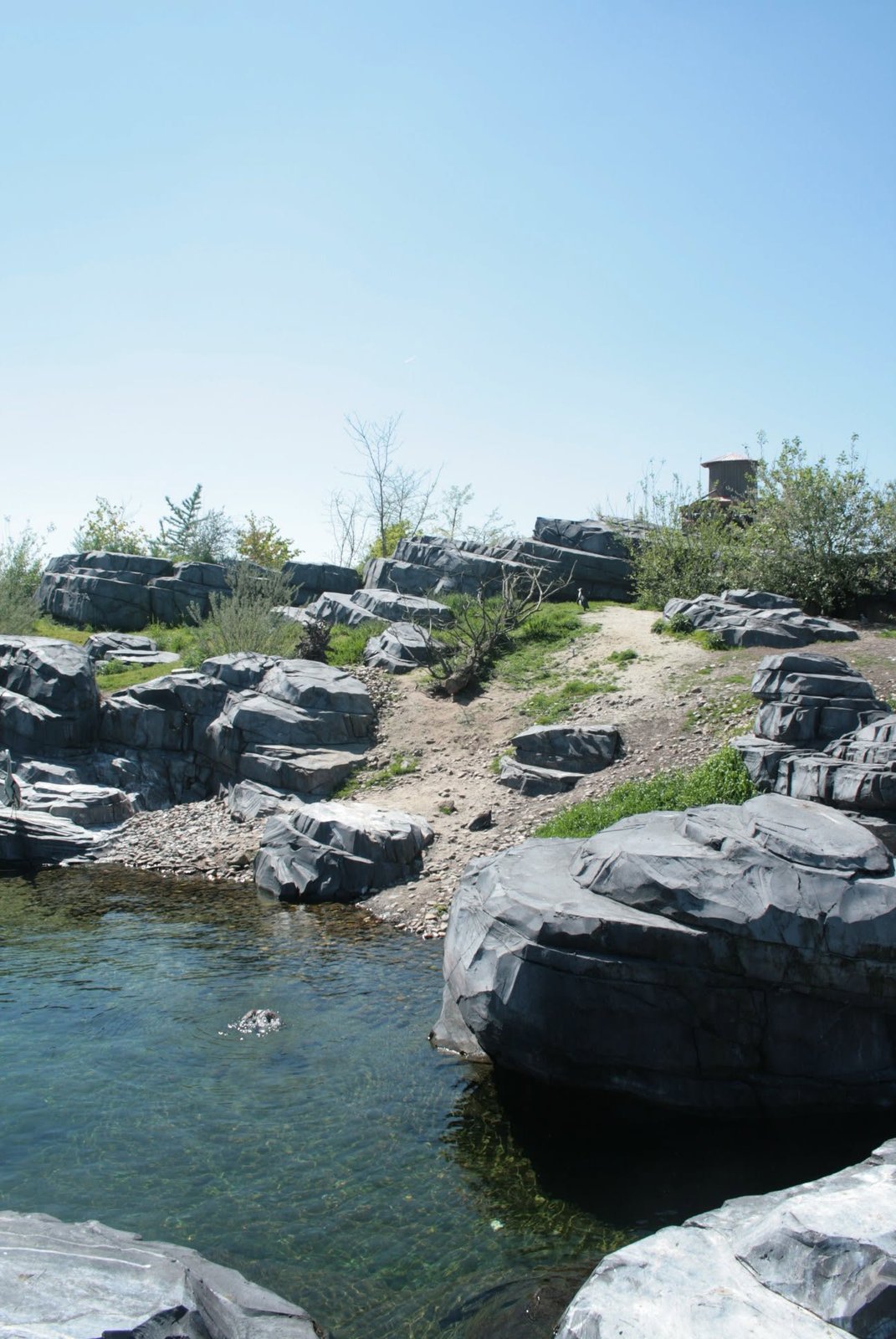 Foto uit Eerste keer Wildlands