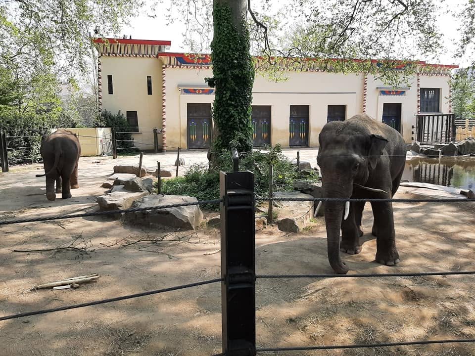 Foto uit Eerste keer Zoo Antwerpen