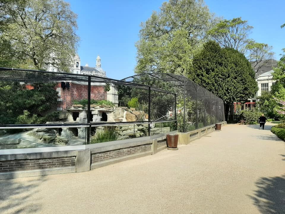 Foto uit Eerste keer Zoo Antwerpen