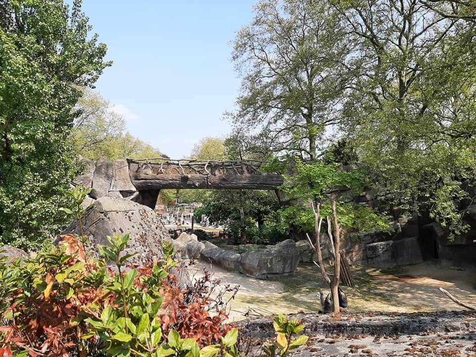Foto uit Eerste keer Zoo Antwerpen