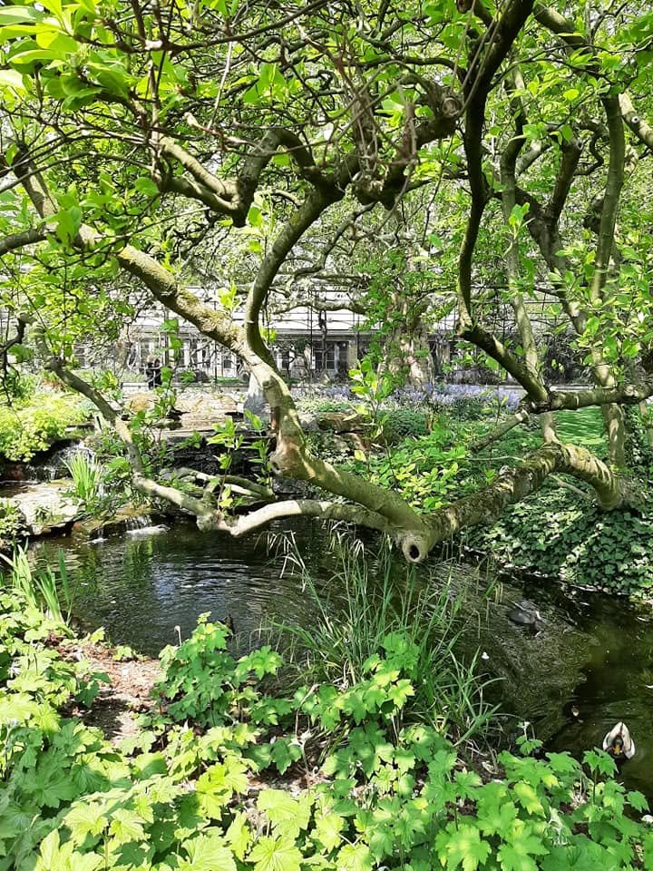 Foto uit Eerste keer Zoo Antwerpen