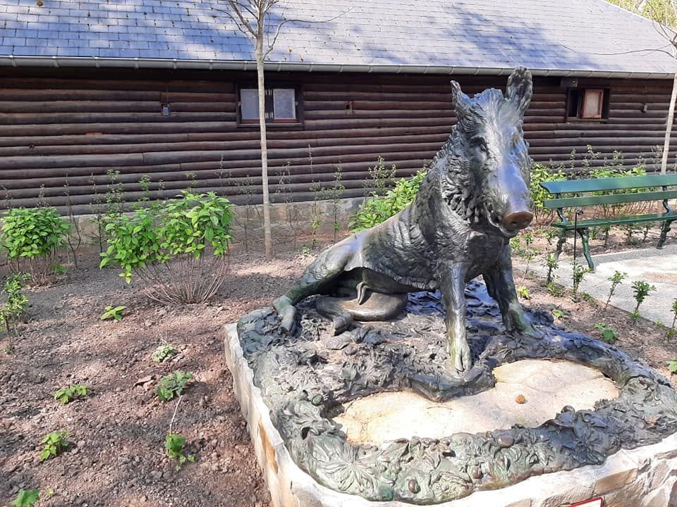 Foto uit Eerste keer Zoo Antwerpen