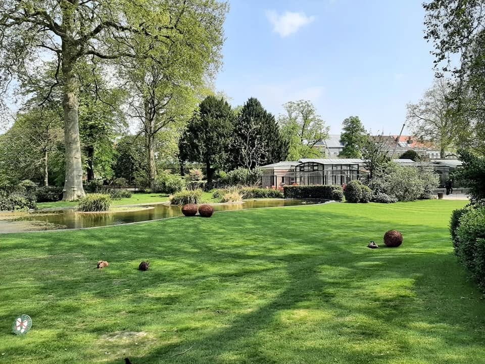 Foto uit Eerste keer Zoo Antwerpen
