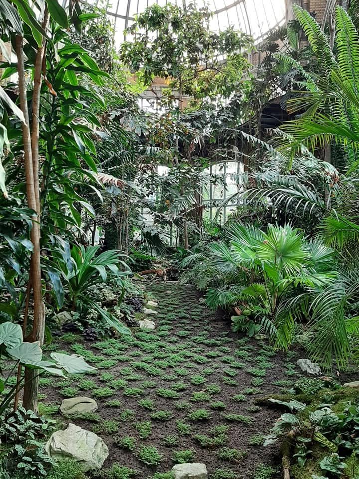 Foto uit Eerste keer Zoo Antwerpen