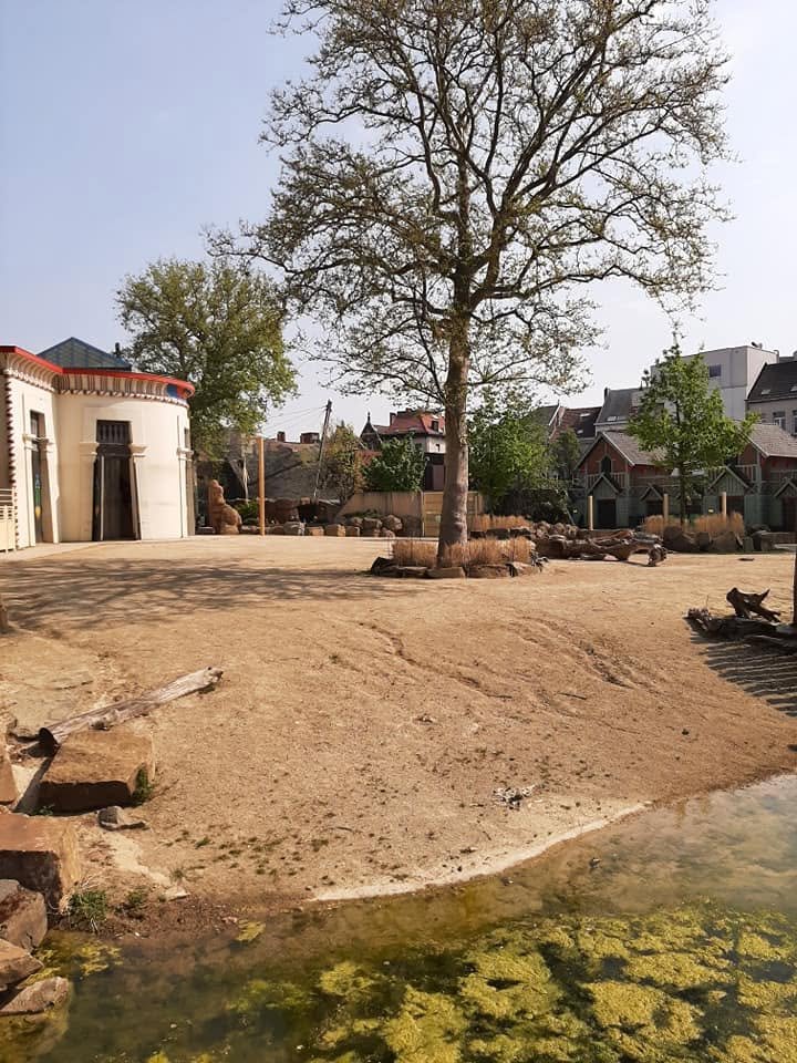 Foto uit Eerste keer Zoo Antwerpen