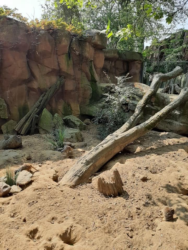 Foto uit Eerste keer Zoo Antwerpen