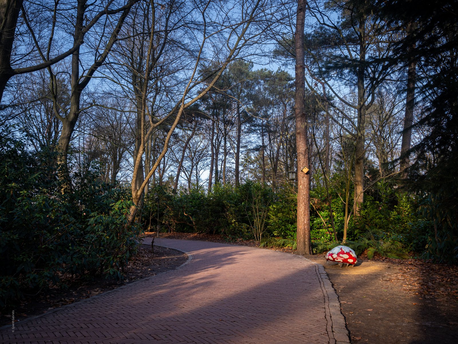 Foto uit Een rondje Sprookjesbos in de stralende winterzon