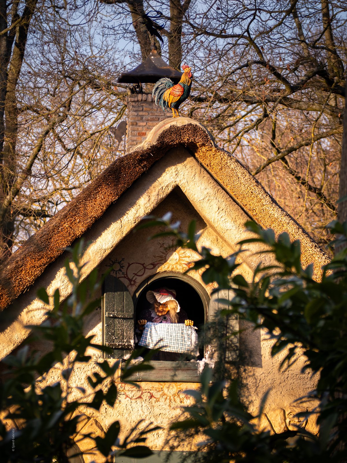 Foto uit Een rondje Sprookjesbos in de stralende winterzon