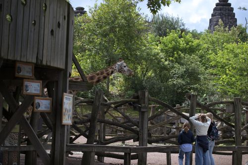 Het giraffenverblijf, hier kon je vroeger naar boven om ze te voeren maar vandaag was dat helaas afgesloten.