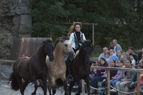 Een paardenshow, deze werd gehouden naast de Abdij van Camron.