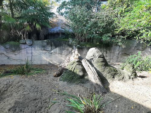 Foto uit Kort bezoek aan Blijdorp