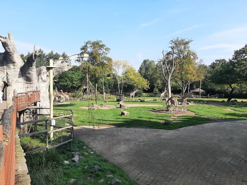 Foto uit Kort bezoek aan Blijdorp
