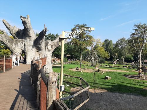 Foto uit Kort bezoek aan Blijdorp