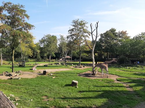 Foto uit Kort bezoek aan Blijdorp