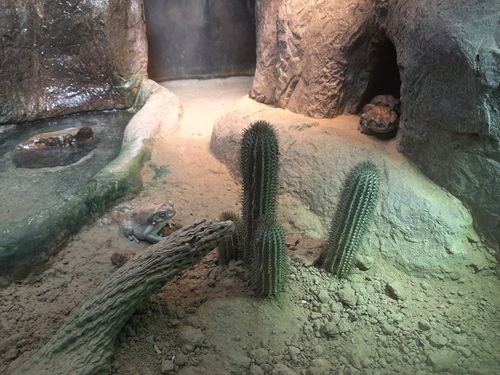 Foto uit Kort bezoek aan Blijdorp