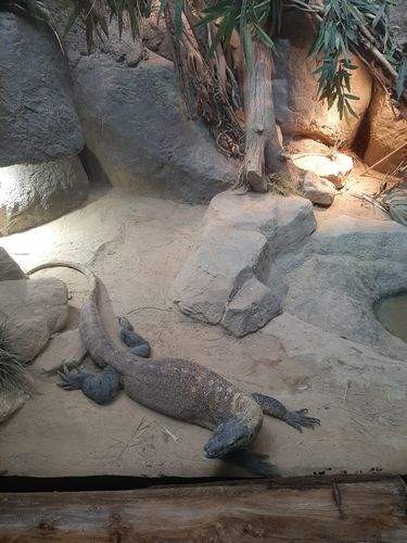 Foto uit Kort bezoek aan Blijdorp