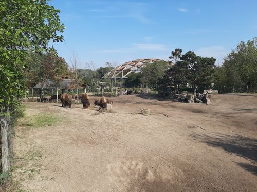 Foto uit Kort bezoek aan Blijdorp