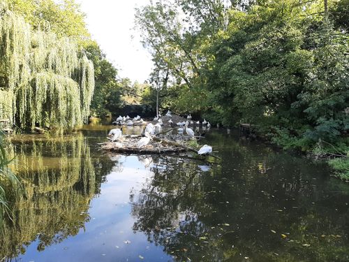 Foto uit Kort bezoek aan Blijdorp