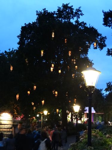 De Lampionnenboom.