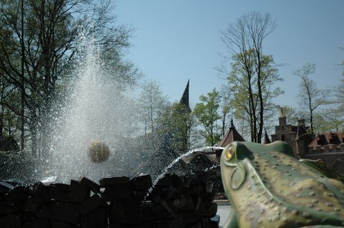 Kikkerkoning