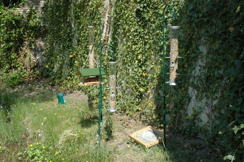Vogelvoerstations op het Herautenplein