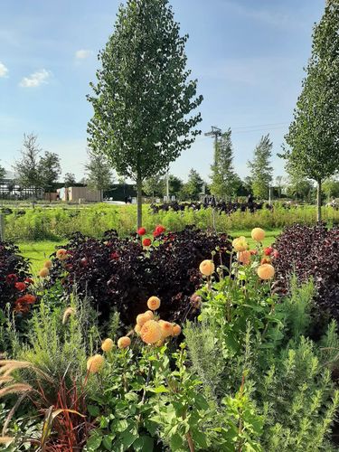 Foto uit Floriade Almere 2022