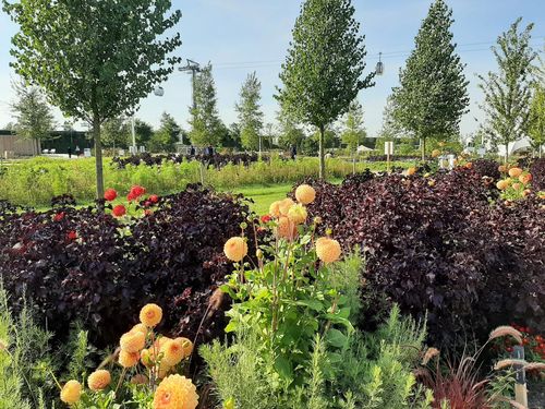 Foto uit Floriade Almere 2022