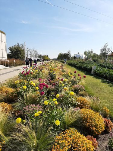 Verspreidt over het gehele terrein zijn veel planten en bloemen te vinden.
