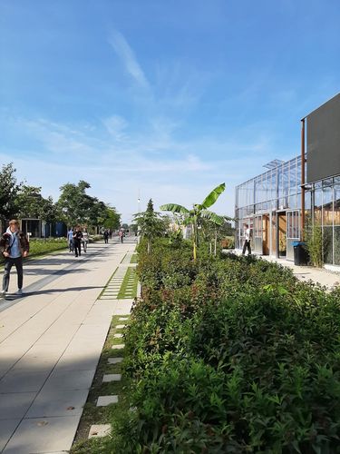 Foto uit Floriade Almere 2022