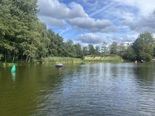 De roeivijver