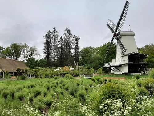 Foto uit Regenachtige dag in Arnhem