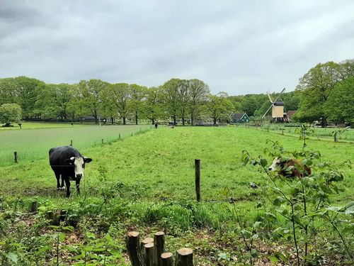 Foto uit Regenachtige dag in Arnhem