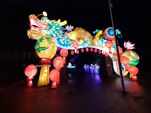 Foto uit Lichtfestival 2020