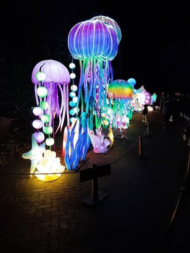 Foto uit Lichtfestival 2020