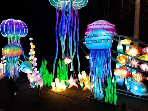 Foto uit Lichtfestival 2020