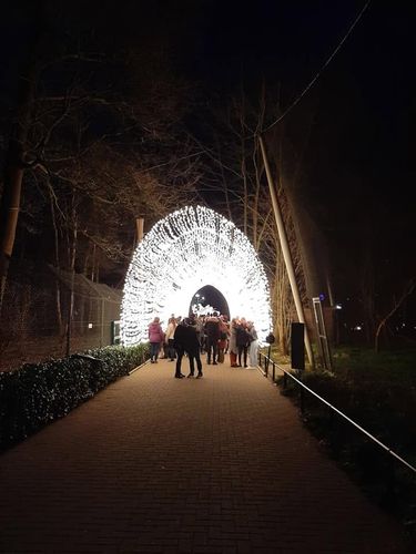 Foto uit Lichtfestival 2022